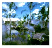 Paisajismo Lago