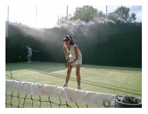Tenis